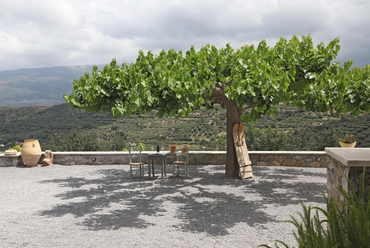 Amvikas Suites-Sitia Exteriör bild